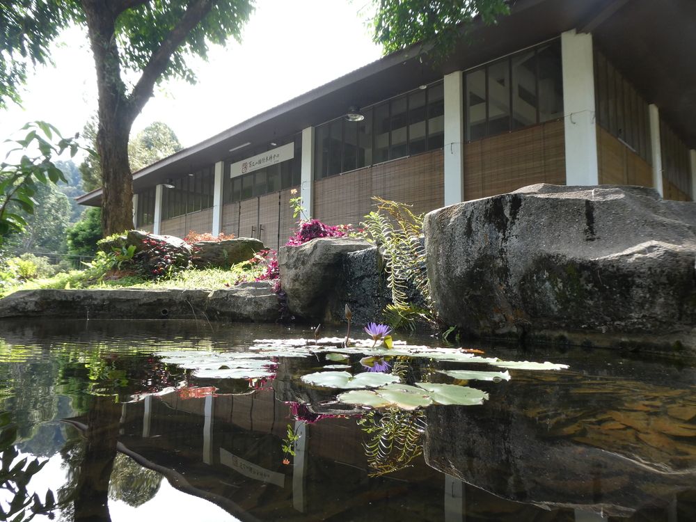 Meditation Hall 禅堂